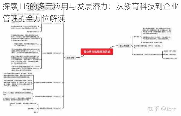 探索JHS的多元应用与发展潜力：从教育科技到企业管理的全方位解读