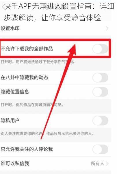 快手APP无声进入设置指南：详细步骤解读，让你享受静音体验