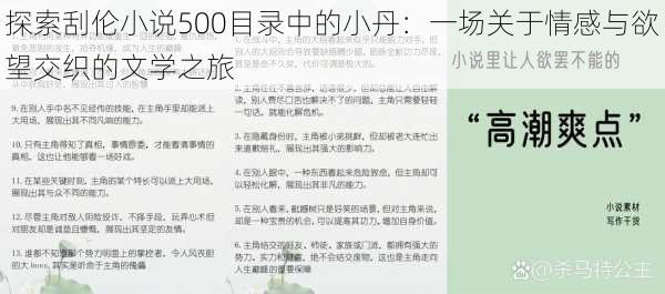 探索刮伦小说500目录中的小丹：一场关于情感与欲望交织的文学之旅