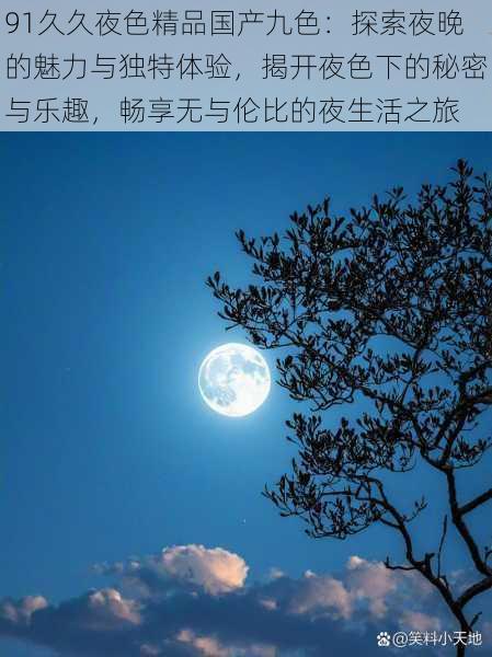 91久久夜色精品国产九色：探索夜晚的魅力与独特体验，揭开夜色下的秘密与乐趣，畅享无与伦比的夜生活之旅