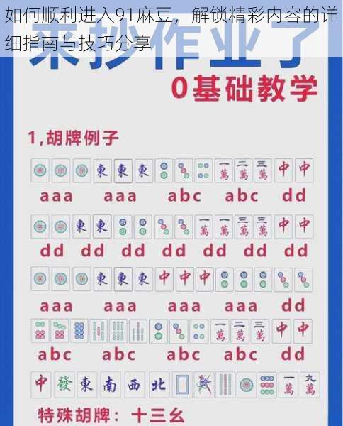 如何顺利进入91麻豆，解锁精彩内容的详细指南与技巧分享