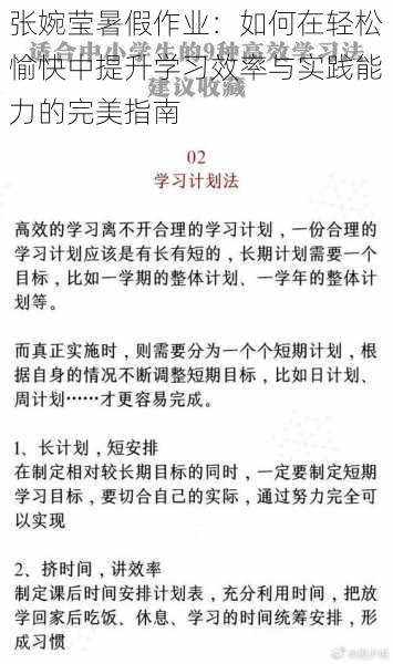 张婉莹暑假作业：如何在轻松愉快中提升学习效率与实践能力的完美指南