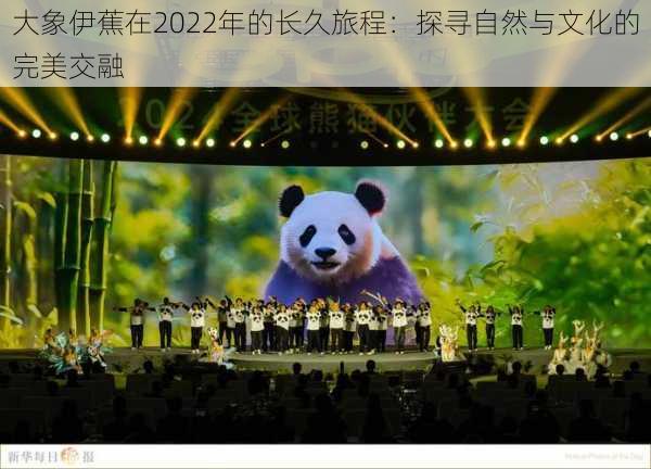 大象伊蕉在2022年的长久旅程：探寻自然与文化的完美交融