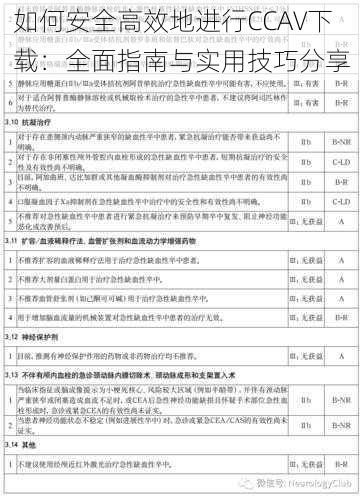 如何安全高效地进行CCAV下载：全面指南与实用技巧分享