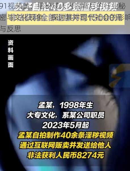 91视频黄：揭秘成人内容背后的行业秘密与文化现象，探讨其对现代社会的影响与反思