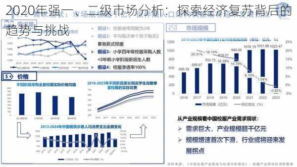 2020年强一、二级市场分析：探索经济复苏背后的趋势与挑战