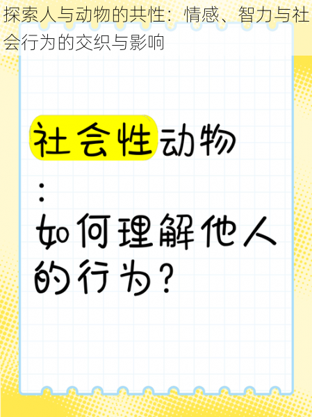 探索人与动物的共性：情感、智力与社会行为的交织与影响