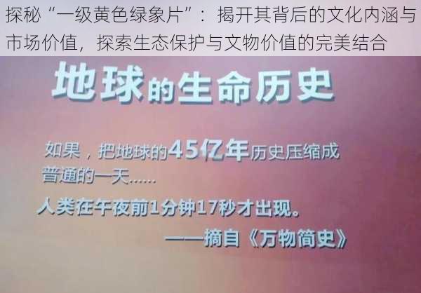 探秘“一级黄色绿象片”：揭开其背后的文化内涵与市场价值，探索生态保护与文物价值的完美结合