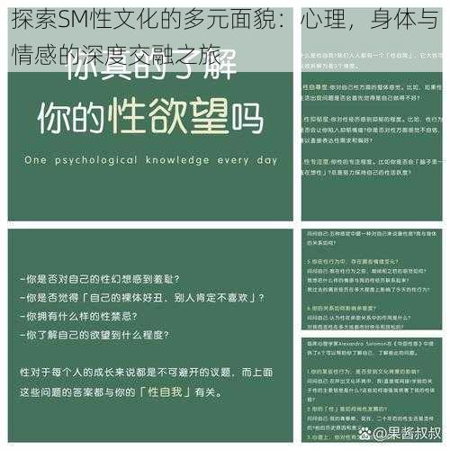 探索SM性文化的多元面貌：心理，身体与情感的深度交融之旅