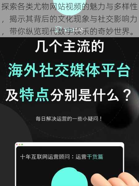 探索各类尤物网站视频的魅力与多样性，揭示其背后的文化现象与社交影响力，带你纵览现代数字娱乐的奇妙世界。