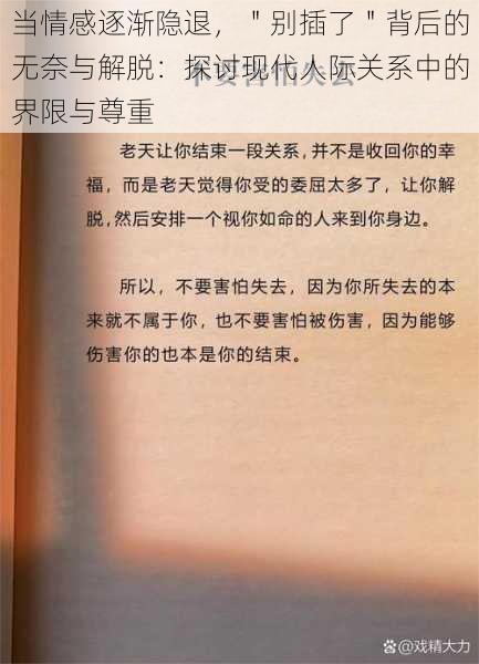 当情感逐渐隐退，＂别插了＂背后的无奈与解脱：探讨现代人际关系中的界限与尊重