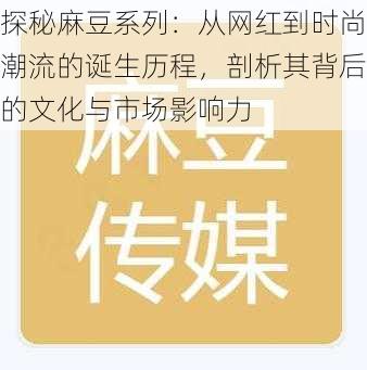 探秘麻豆系列：从网红到时尚潮流的诞生历程，剖析其背后的文化与市场影响力