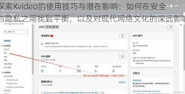 探索Xvideo的使用技巧与潜在影响：如何在安全与隐私之间找到平衡，以及对现代网络文化的深远影响