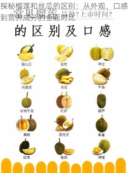 探秘榴莲和丝瓜的区别：从外观、口感到营养成分的全面对比