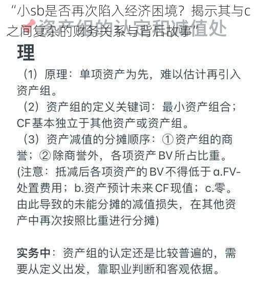 “小sb是否再次陷入经济困境？揭示其与c之间复杂的财务关系与背后故事”