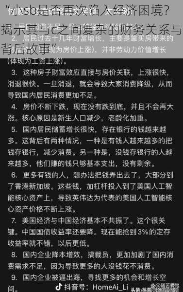 “小sb是否再次陷入经济困境？揭示其与c之间复杂的财务关系与背后故事”