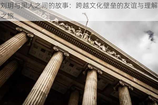 刘玥与黑人之间的故事：跨越文化壁垒的友谊与理解之旅