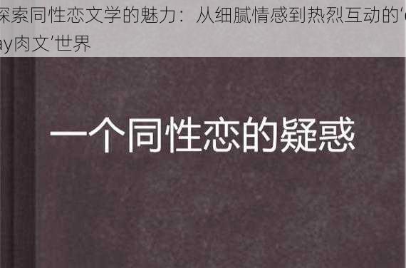 探索同性恋文学的魅力：从细腻情感到热烈互动的‘gay肉文’世界