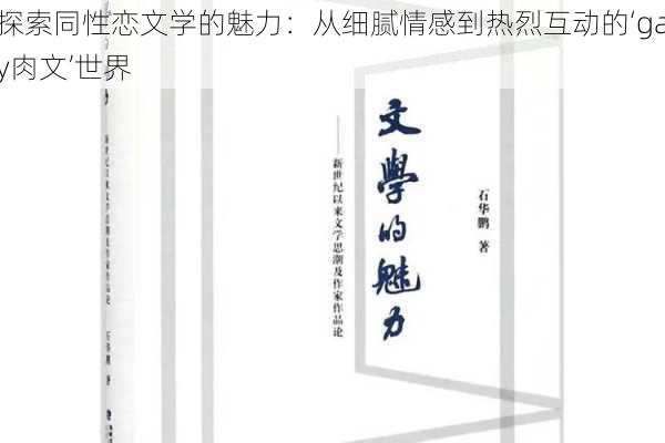 探索同性恋文学的魅力：从细腻情感到热烈互动的‘gay肉文’世界