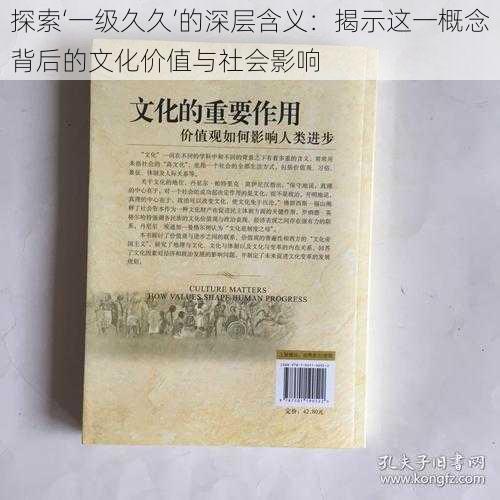 探索‘一级久久’的深层含义：揭示这一概念背后的文化价值与社会影响