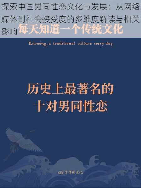 探索中国男同性恋文化与发展：从网络媒体到社会接受度的多维度解读与相关影响