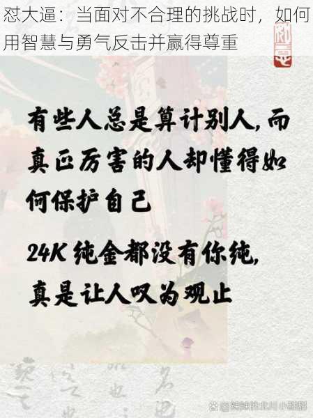 怼大逼：当面对不合理的挑战时，如何用智慧与勇气反击并赢得尊重