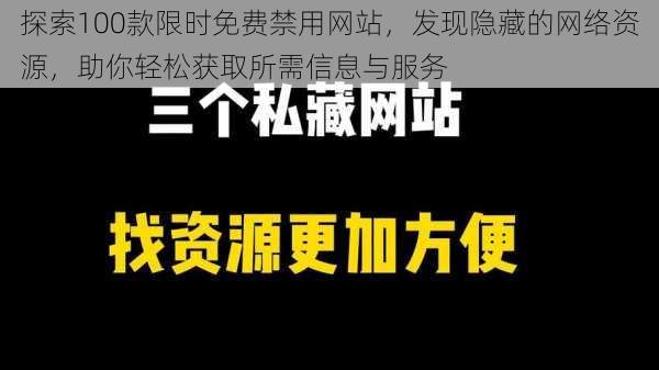 探索100款限时免费禁用网站，发现隐藏的网络资源，助你轻松获取所需信息与服务