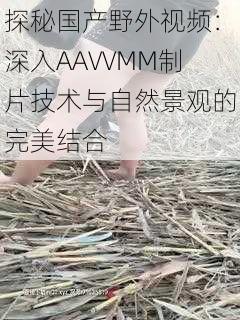 探秘国产野外视频：深入AAVVMM制片技术与自然景观的完美结合