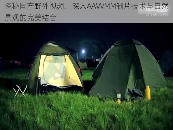 探秘国产野外视频：深入AAVVMM制片技术与自然景观的完美结合