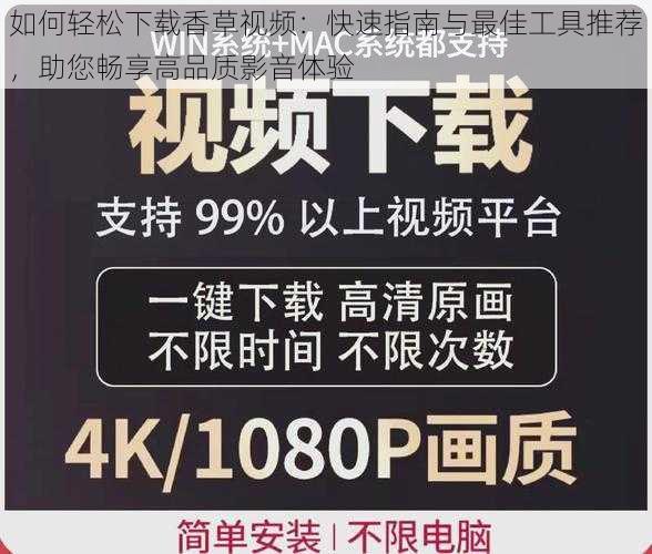 如何轻松下载香草视频：快速指南与最佳工具推荐，助您畅享高品质影音体验