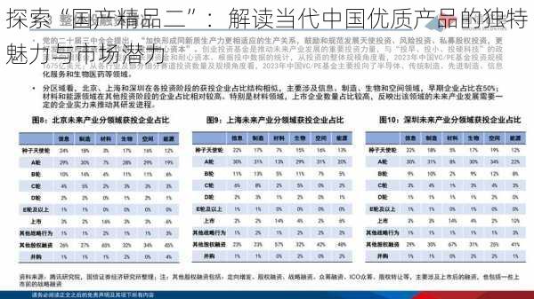 探索“国产精品二”：解读当代中国优质产品的独特魅力与市场潜力