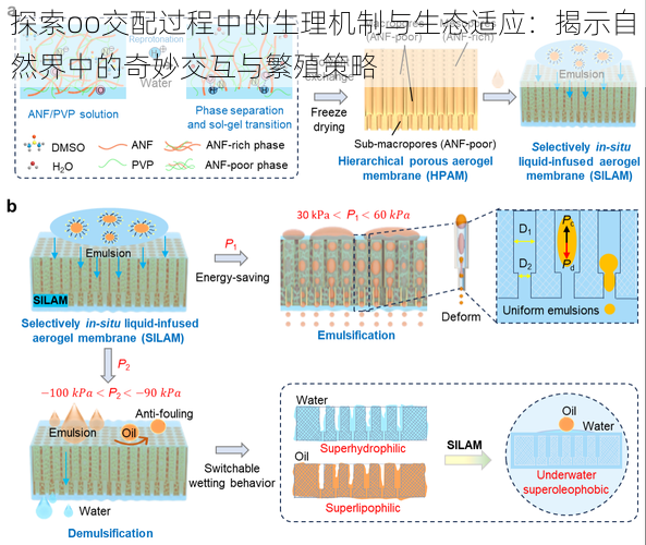 探索oo交配过程中的生理机制与生态适应：揭示自然界中的奇妙交互与繁殖策略