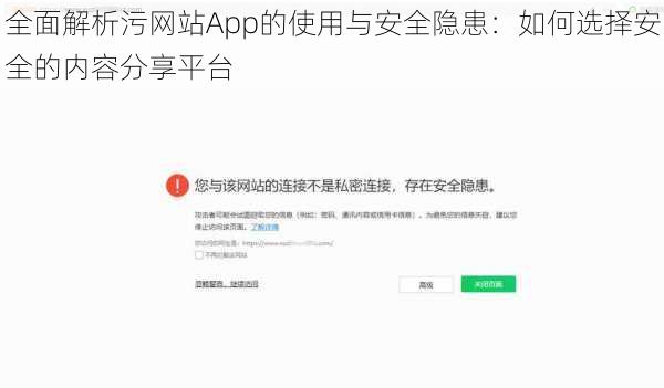 全面解析污网站App的使用与安全隐患：如何选择安全的内容分享平台