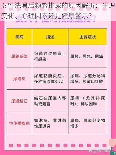 女性洗澡后频繁排尿的原因解析：生理变化、心理因素还是健康警示？