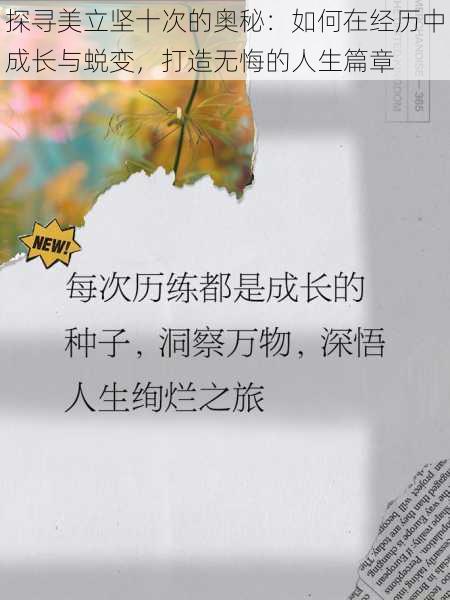 探寻美立坚十次的奥秘：如何在经历中成长与蜕变，打造无悔的人生篇章