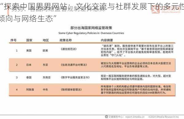 “探索中国男男网站：文化交流与社群发展下的多元性倾向与网络生态”