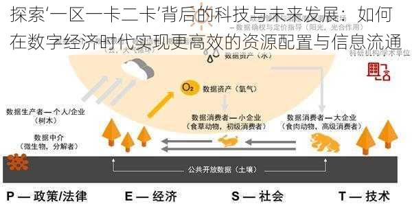 探索‘一区一卡二卡’背后的科技与未来发展：如何在数字经济时代实现更高效的资源配置与信息流通