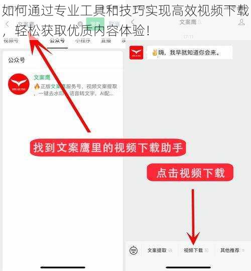 如何通过专业工具和技巧实现高效视频下载，轻松获取优质内容体验！