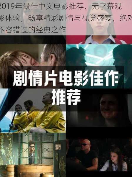 2019年最佳中文电影推荐，无字幕观影体验，畅享精彩剧情与视觉盛宴，绝对不容错过的经典之作