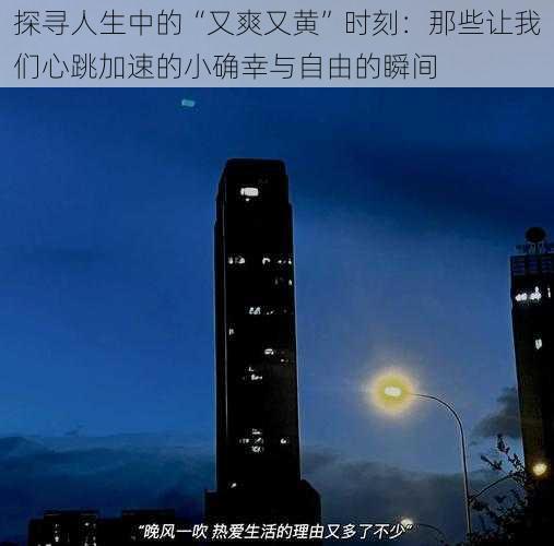 探寻人生中的“又爽又黄”时刻：那些让我们心跳加速的小确幸与自由的瞬间