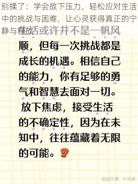 别揉了：学会放下压力，轻松应对生活中的挑战与困难，让心灵获得真正的宁静与释放