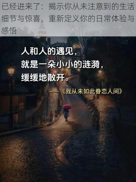 已经进来了：揭示你从未注意到的生活细节与惊喜，重新定义你的日常体验与感悟