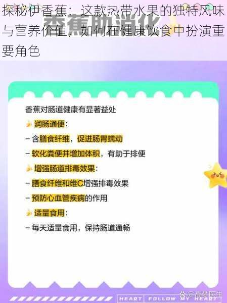 探秘伊香蕉：这款热带水果的独特风味与营养价值，如何在健康饮食中扮演重要角色