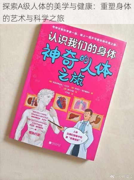 探索A级人体的美学与健康：重塑身体的艺术与科学之旅