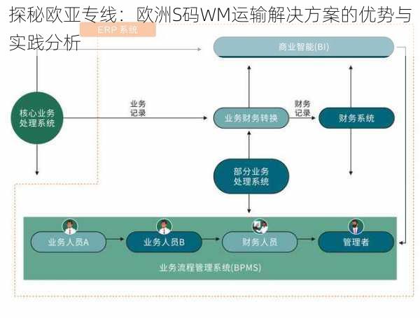 探秘欧亚专线：欧洲S码WM运输解决方案的优势与实践分析