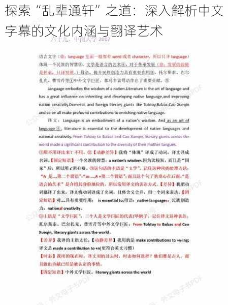 探索“乱辈通轩”之道：深入解析中文字幕的文化内涵与翻译艺术