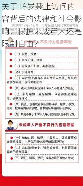 关于18岁禁止访问内容背后的法律和社会影响：保护未成年人还是限制自由？