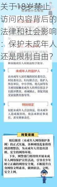 关于18岁禁止访问内容背后的法律和社会影响：保护未成年人还是限制自由？