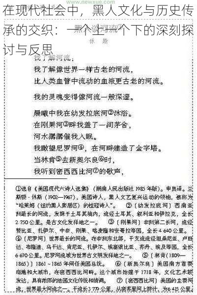 在现代社会中，黑人文化与历史传承的交织：一个上一个下的深刻探讨与反思