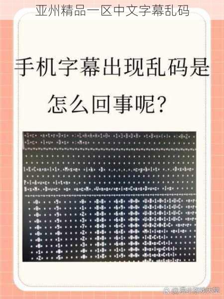 亚州精品一区中文字幕乱码